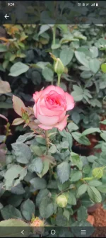 Screenshot_20260606_215924.webp