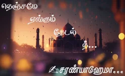 WhatsApp Image 2025-01-14 at 9.23.17 AM.webp