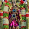 shanmugasree sudhakar
