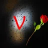 Vidhushini