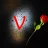 Vidhushini
